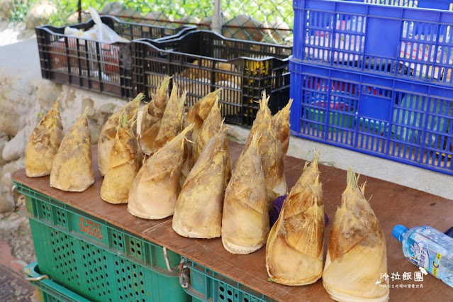 全台最短老街『三坑老街』牛汶水、客家菜包、大尾鱸鰻、愛讓我們在一起拍攝地 7 全台最短老街『三坑老街』牛汶水、客家菜包、大尾鱸鰻、愛讓我們在一起拍攝地