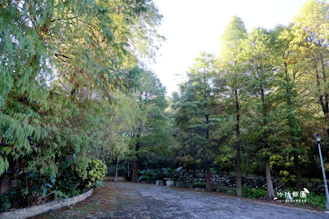 南港人的小秘境『麗山農民廣場-麗山公園』落羽松、雙心跳石 6 南港人的小秘境『麗山農民廣場-麗山公園』落羽松、雙心跳石