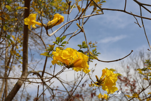 金門景點『金門大學』感受青春的氣息 17 金門景點『金門大學』感受青春的氣息