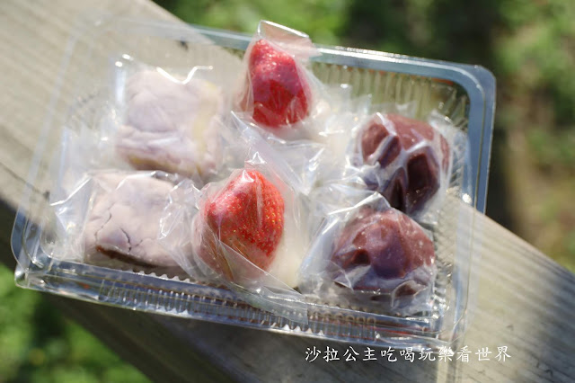 遼寧夜市必吃美食『黑麻糬.紅龜粿.草仔粿』IG打卡草莓大福/菜單/大甲芋頭紅豆.綠豆 14 遼寧夜市必吃美食『黑麻糬.紅龜粿.草仔粿』IG打卡草莓大福/菜單/大甲芋頭紅豆.綠豆