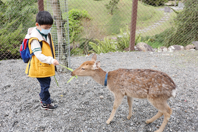 暑假照樣玩翻天、不加價！宜蘭最美親子飯店「綠舞」春夏旅展限時開搶，最低 37 折！早鳥訂房再加碼