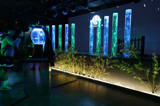 日本東京人氣展覽『金魚藝術展』璀璨登台 21 日本東京人氣展覽『金魚藝術展』璀璨登台