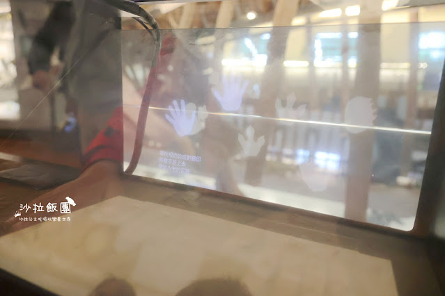 台北巨大恐龍出沒，搭捷運就會到