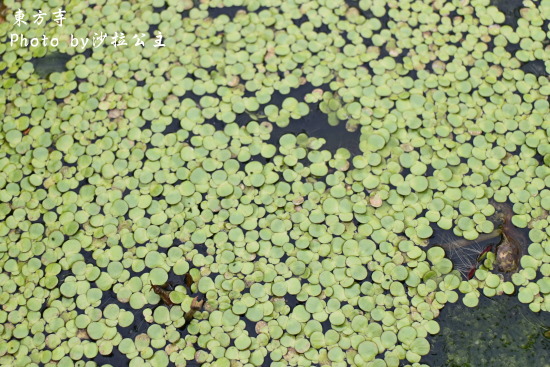 IMG_7042.jpg IMG_7042.jpg