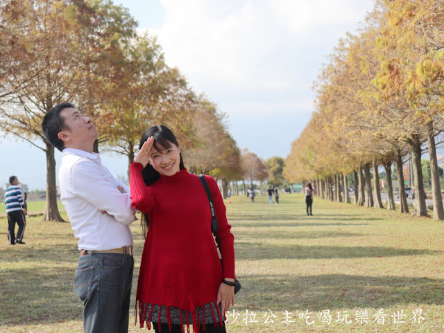 宜蘭三星景點『三星落羽松秘境』安農溪旁/宜蘭落羽松 18 宜蘭三星景點『三星落羽松秘境』安農溪旁/宜蘭落羽松