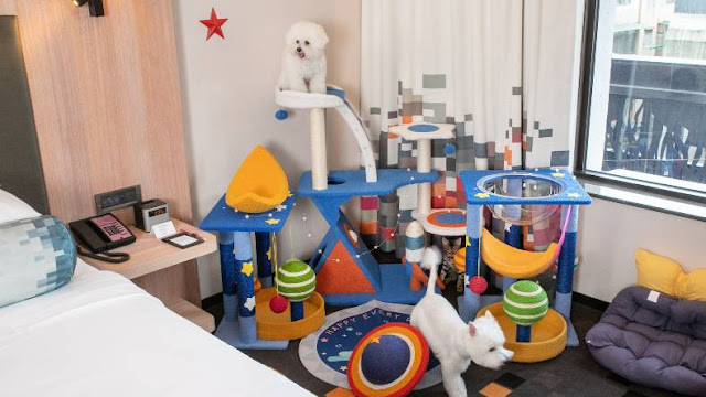 【寵物住宿】寵物友善飯店,毛小孩也要爽爽住 3 【寵物住宿】寵物友善飯店,毛小孩也要爽爽住