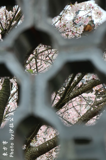 IMG_7034.jpg IMG_7034.jpg