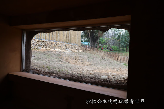 全台最老動物園『新竹動物園』全新打造沒有籠子友善動物園/新竹景點 12 全台最老動物園『新竹動物園』全新打造沒有籠子友善動物園/新竹景點