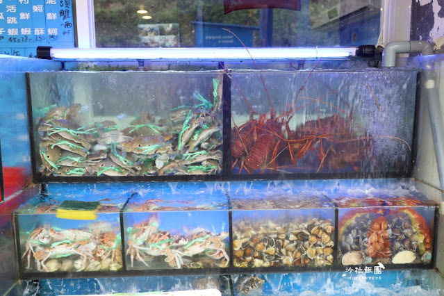 龜吼漁港美食『阿嬌海鮮館』浮誇系小卷米粉、金字塔炒飯必點、菜單 8 龜吼漁港美食『阿嬌海鮮館』浮誇系小卷米粉、金字塔炒飯必點、菜單