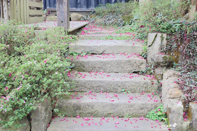 苗栗鍾鼎山林雲海景觀餐廳,人氣養生薑黃火鍋&雲海老薑蒸足浴 17 苗栗鍾鼎山林雲海景觀餐廳,人氣養生薑黃火鍋&雲海老薑蒸足浴