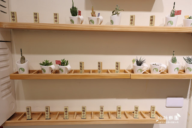 台中逢甲住宿.背包客『葉綠宿旅館』陪睡小盆栽 29 台中逢甲住宿.背包客『葉綠宿旅館』陪睡小盆栽