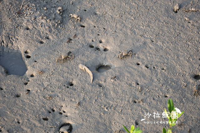 北投景點『關渡碼頭貨櫃市集』越夜越美 8 北投景點『關渡碼頭貨櫃市集』越夜越美