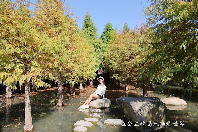 台中落羽松.后里泰安落羽松秘境『羽粼落羽松』裝置藝術像走到畫裡 21 台中落羽松.后里泰安落羽松秘境『羽粼落羽松』裝置藝術像走到畫裡