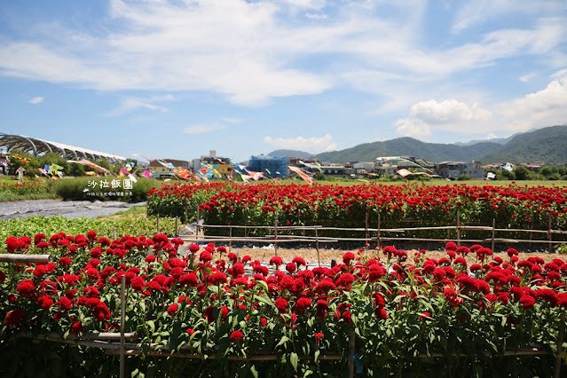 3000株日本波波草超療癒,台版羊角村、大碗公溜滑梯 28 3000株日本波波草超療癒,台版羊角村、大碗公溜滑梯