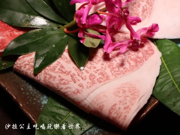 IMG_2482.JPG IMG_2482.JPG