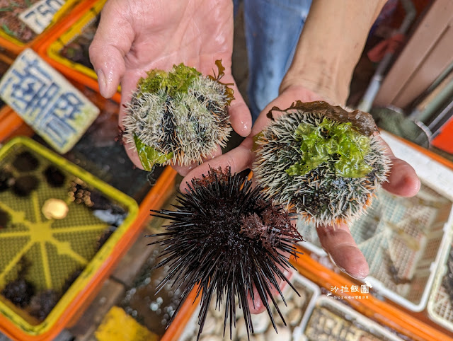 龜吼漁夫市集現剖現吃海膽好鮮甜 9 龜吼漁夫市集現剖現吃海膽好鮮甜