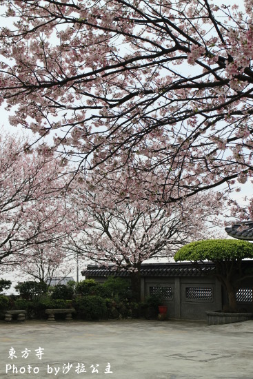 IMG_7038.jpg IMG_7038.jpg