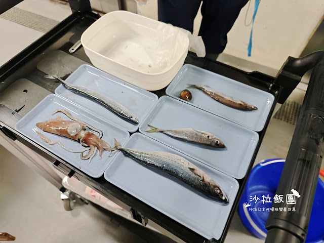 全台最頂級夜宿水族館!桃園和逸Blu Night宿海奇遇》Xpark住一晚 59 全台最頂級夜宿水族館!桃園和逸Blu Night宿海奇遇》Xpark住一晚