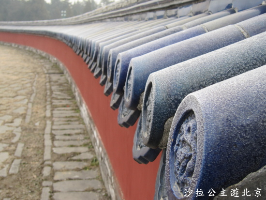 IMG_7952.JPG IMG_7952.JPG