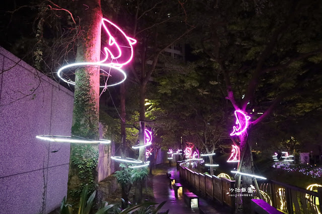 夢幻泡泡童話光廊、幻彩水幕夢幻爆棚‼️ 6 夢幻泡泡童話光廊、幻彩水幕夢幻爆棚‼️