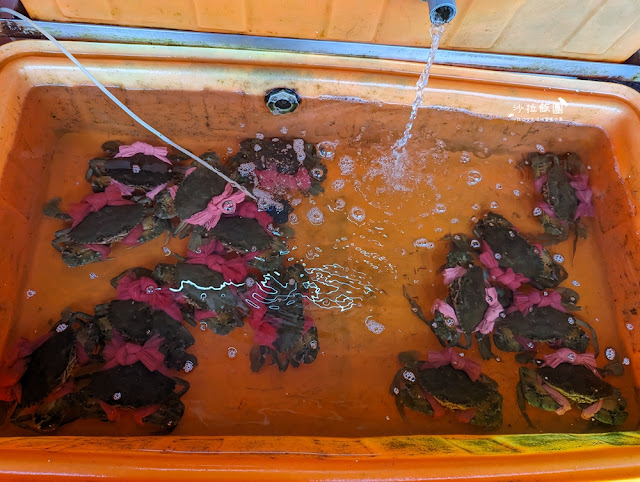 阿嬌萬里蟹萬里超強海鮮餐廳,下雨天也要排隊吃 11 阿嬌萬里蟹萬里超強海鮮餐廳,下雨天也要排隊吃