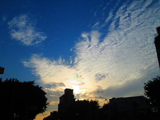 IMG_2740.jpg IMG_2740.jpg