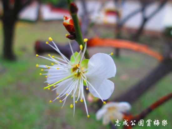 IMG_5687.jpg IMG_5687.jpg