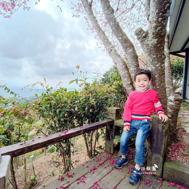 苗栗鍾鼎山林雲海景觀餐廳,人氣養生薑黃火鍋&雲海老薑蒸足浴 32 苗栗鍾鼎山林雲海景觀餐廳,人氣養生薑黃火鍋&雲海老薑蒸足浴