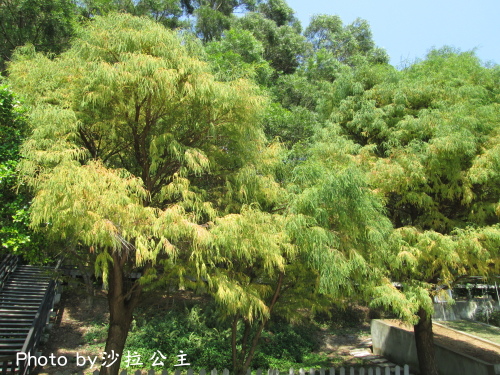 IMG_7076.jpg IMG_7076.jpg