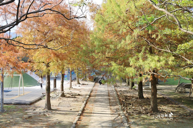 頭城景點頭城最新特色公園『頭城運動公園』宜蘭最美的共融公園、落羽松 14 頭城景點頭城最新特色公園『頭城運動公園』宜蘭最美的共融公園、落羽松