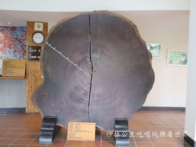 宜蘭景點/親子同遊/煮蛋『鳩之澤』宜蘭旅遊/泡湯/太平山森林遊樂區 14 宜蘭景點/親子同遊/煮蛋『鳩之澤』宜蘭旅遊/泡湯/太平山森林遊樂區