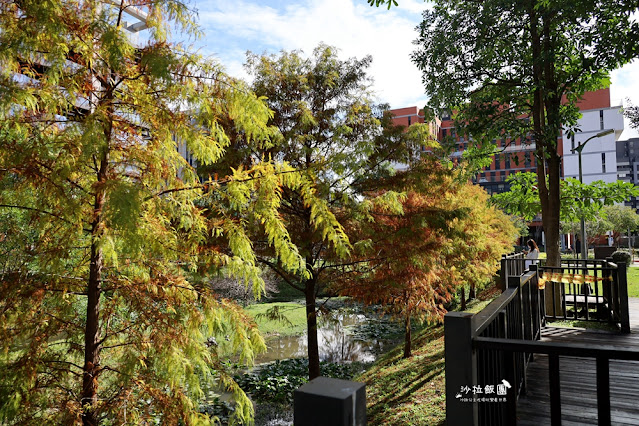 北投奇岩一號公園、落羽松、共融式兒童遊樂場、生態池 6 北投奇岩一號公園、落羽松、共融式兒童遊樂場、生態池