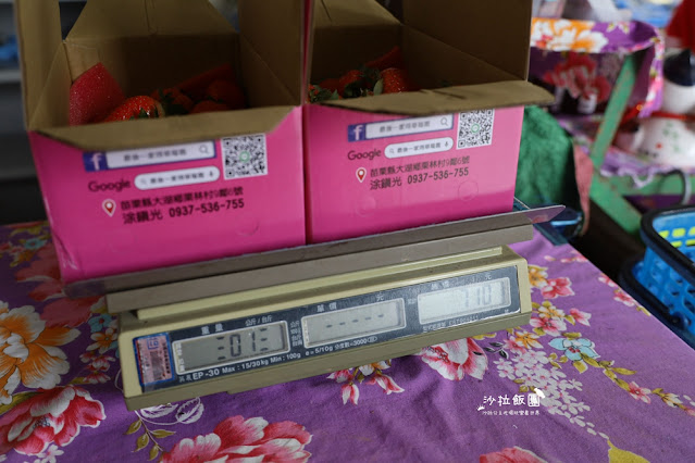 苗栗大湖草莓園推薦『最後一家得草莓園』超大奶油草莓人見人愛 25 苗栗大湖草莓園推薦『最後一家得草莓園』超大奶油草莓人見人愛