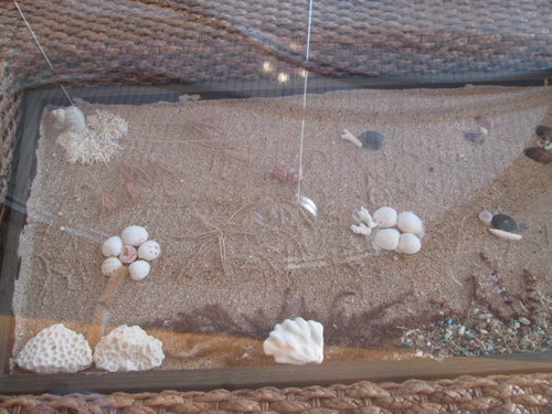 帆船餐飲風味小吃-海悅大飯店【澎湖】 16 帆船餐飲風味小吃-海悅大飯店【澎湖】