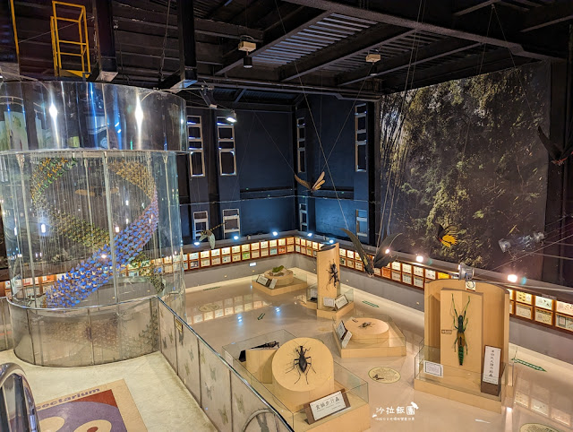 嘉義親子景點『新嘉大昆蟲館』全球唯一旋轉彩蝶柱、蝴蝶溫室花園 53 嘉義親子景點『新嘉大昆蟲館』全球唯一旋轉彩蝶柱、蝴蝶溫室花園