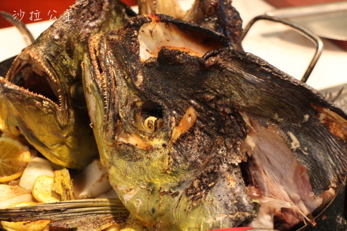 IMG_3922.jpg IMG_3922.jpg