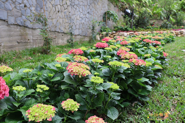 東密道50年來首次開放『圓山大飯店』國宴文化饗宴品嘗元首餐/享受元首待遇 12 東密道50年來首次開放『圓山大飯店』國宴文化饗宴品嘗元首餐/享受元首待遇