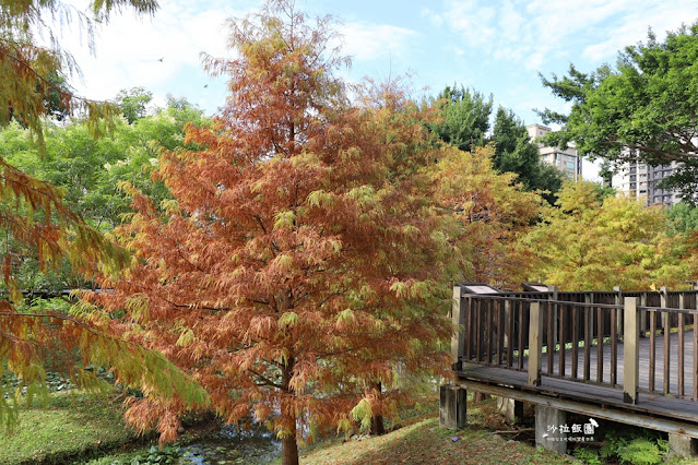 北投奇岩一號公園、落羽松、共融式兒童遊樂場、生態池 44 北投奇岩一號公園、落羽松、共融式兒童遊樂場、生態池