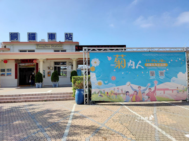 銅鑼杭菊搭火車也可以賞花!!交通指引 10 銅鑼杭菊搭火車也可以賞花!!交通指引