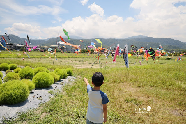 3000株日本波波草超療癒,台版羊角村、大碗公溜滑梯 15 3000株日本波波草超療癒,台版羊角村、大碗公溜滑梯