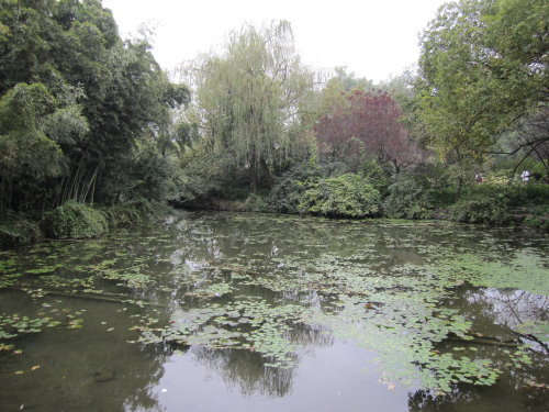 花港觀魚【杭州】 8 花港觀魚【杭州】