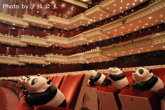 IMG_6465.jpg IMG_6465.jpg