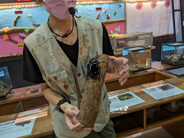 嘉義親子景點『新嘉大昆蟲館』全球唯一旋轉彩蝶柱、蝴蝶溫室花園 21 嘉義親子景點『新嘉大昆蟲館』全球唯一旋轉彩蝶柱、蝴蝶溫室花園