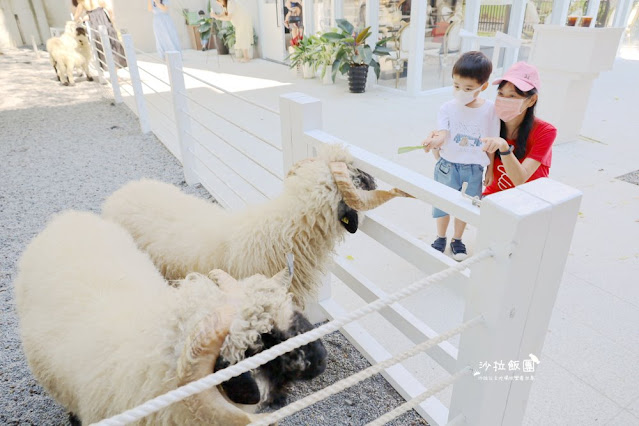 宜蘭最新玻璃屋咖啡廳『黑RURU CAFE』超萌笑笑羊可愛指數爆棚 32 宜蘭最新玻璃屋咖啡廳『黑RURU CAFE』超萌笑笑羊可愛指數爆棚