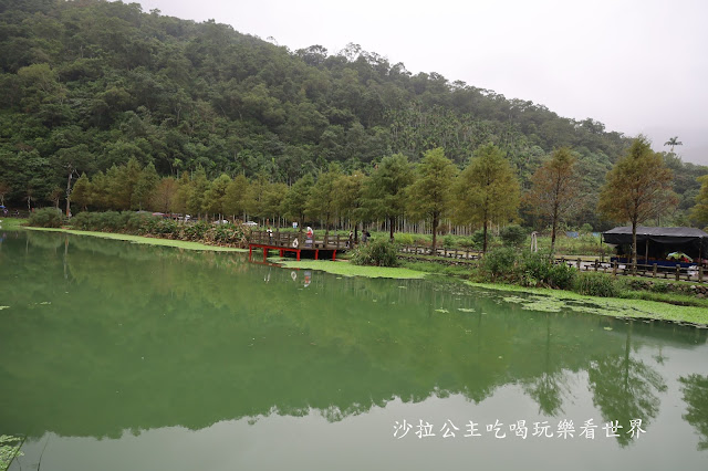 宜蘭員山免費景點『望龍埤』下一站幸福偶像劇拍攝場景花田村.落羽松 5 宜蘭員山免費景點『望龍埤』下一站幸福偶像劇拍攝場景花田村.落羽松