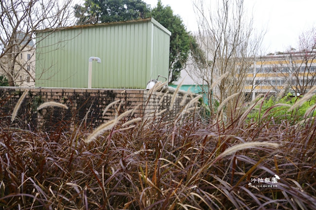 台北景點鬱金香花展『花卉試驗中心』台北人的小秘境 17 台北景點鬱金香花展『花卉試驗中心』台北人的小秘境