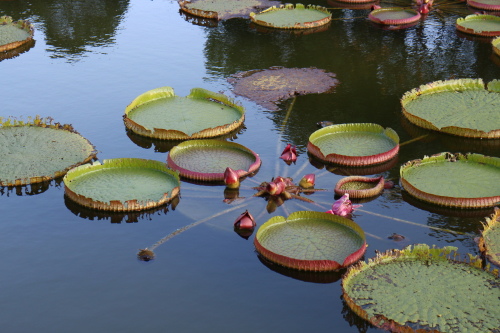 IMG_1251.jpg IMG_1251.jpg