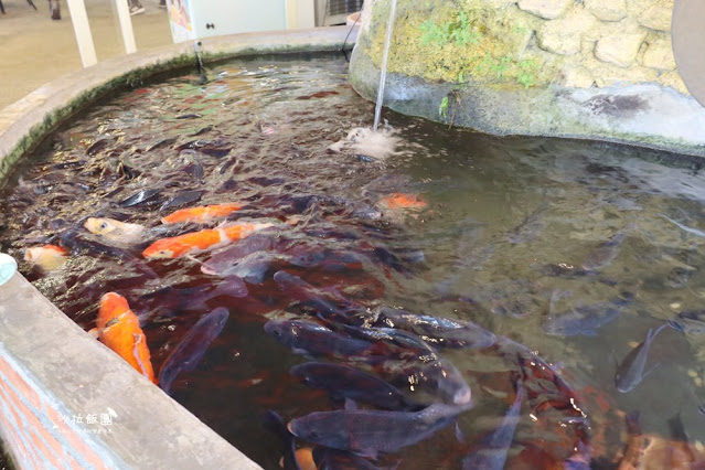 礁溪必吃脆皮多汁『火山爆發雞』免費豬油拌飯,吃完我都火山爆發了 8 礁溪必吃脆皮多汁『火山爆發雞』免費豬油拌飯,吃完我都火山爆發了