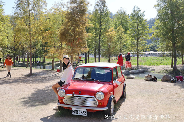 台中落羽松.后里泰安落羽松秘境『羽粼落羽松』裝置藝術像走到畫裡 41 台中落羽松.后里泰安落羽松秘境『羽粼落羽松』裝置藝術像走到畫裡