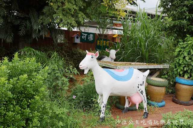 宜蘭員山景點『可達羊場』免門票.百元就可以餵羊.兔子.鴨子.親子景點 5 宜蘭員山景點『可達羊場』免門票.百元就可以餵羊.兔子.鴨子.親子景點